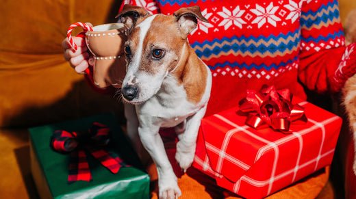 The Ultimate Dog Lovers Gift Guide: 13 Dog Lover Gift Ideas - WOOF