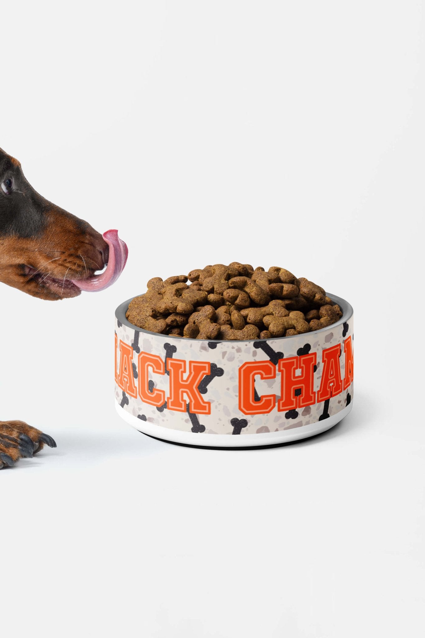 Ultimate Snack Champ Dog Pet Bowl.