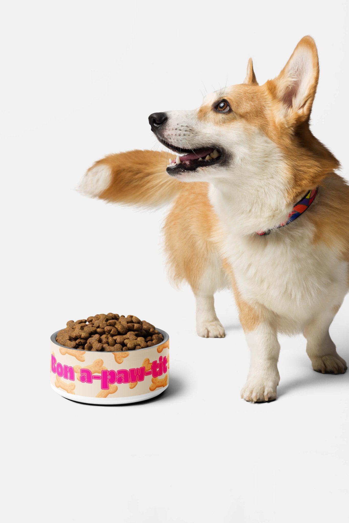 Adorable "Bon-a-paw-tit" Dog Pet Bowl.