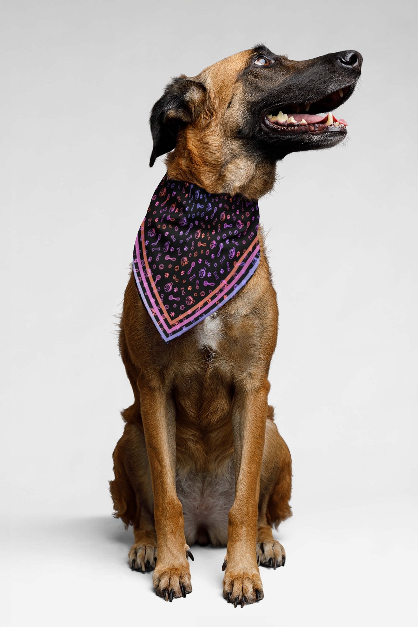 Playful Neon Pet Bandana.