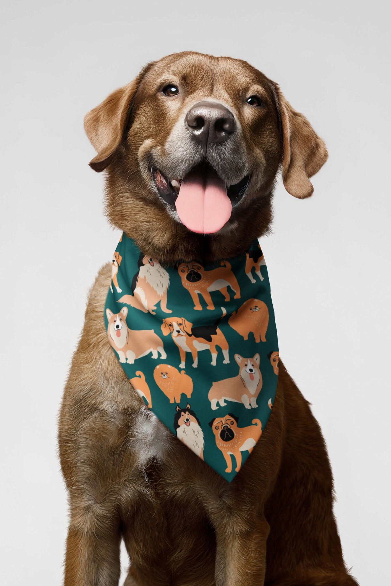 Ultimate Dog Parade Pet Bandana.