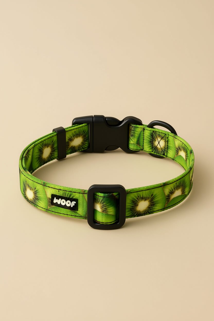 Kiwi Heaven Dog Collar & Leash Set - WOOF