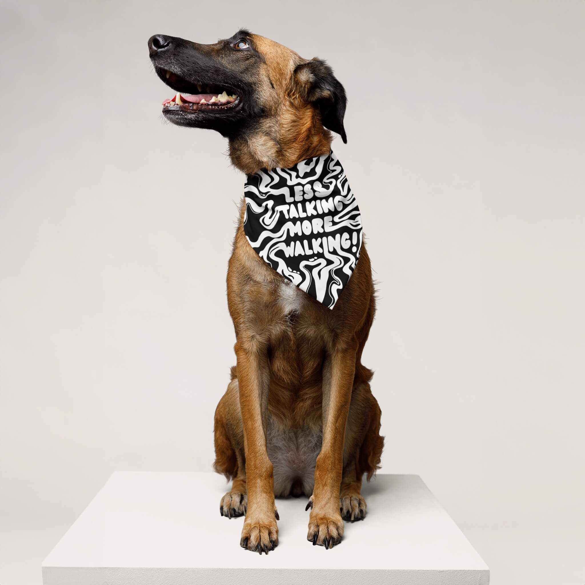 Less Talking More Walking Pet Bandana - Dogloverclothing.com