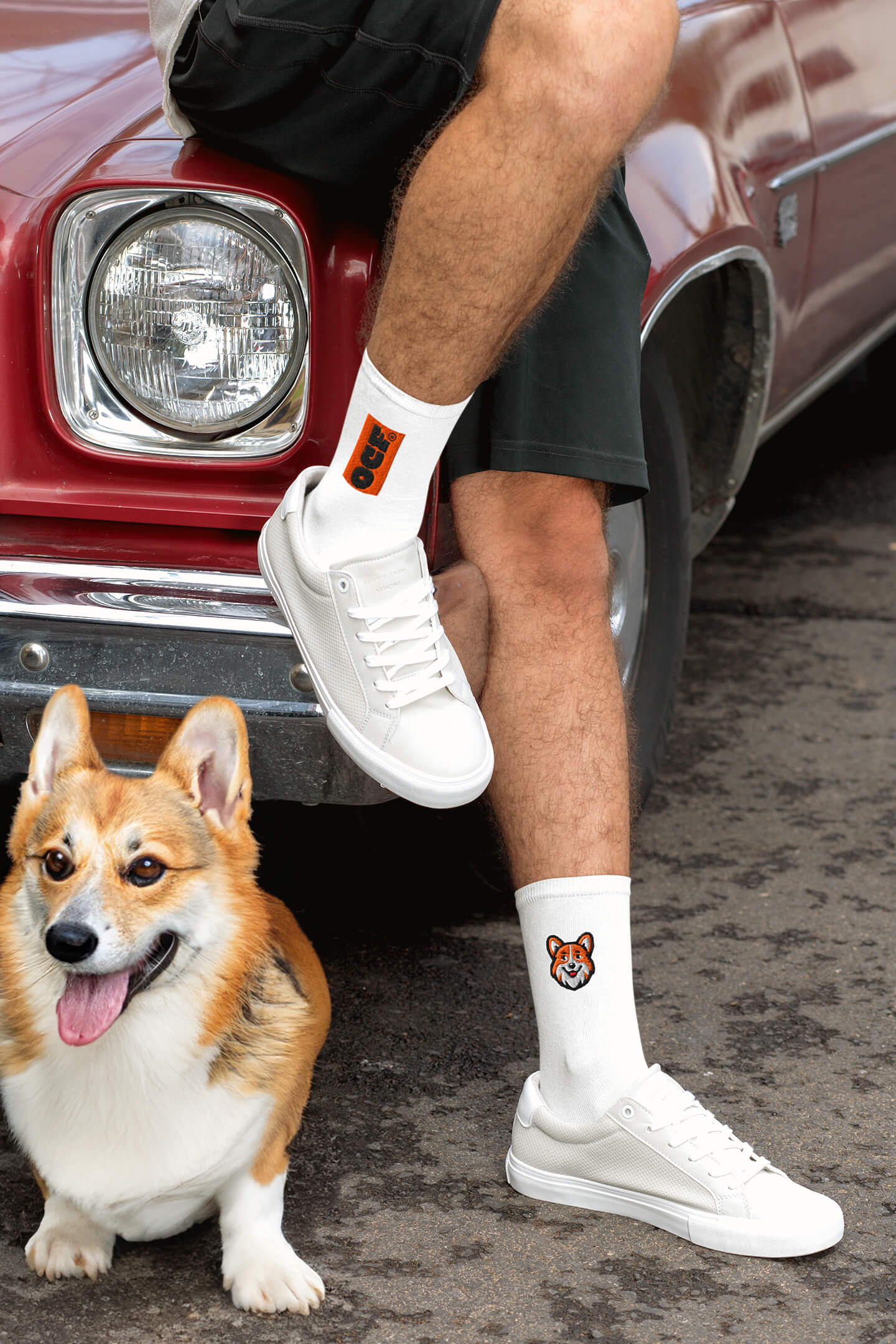 SOCCO x Official Corgi Fan Club© Double-Sided Limited Edition Socks - Dogloverclothing.com