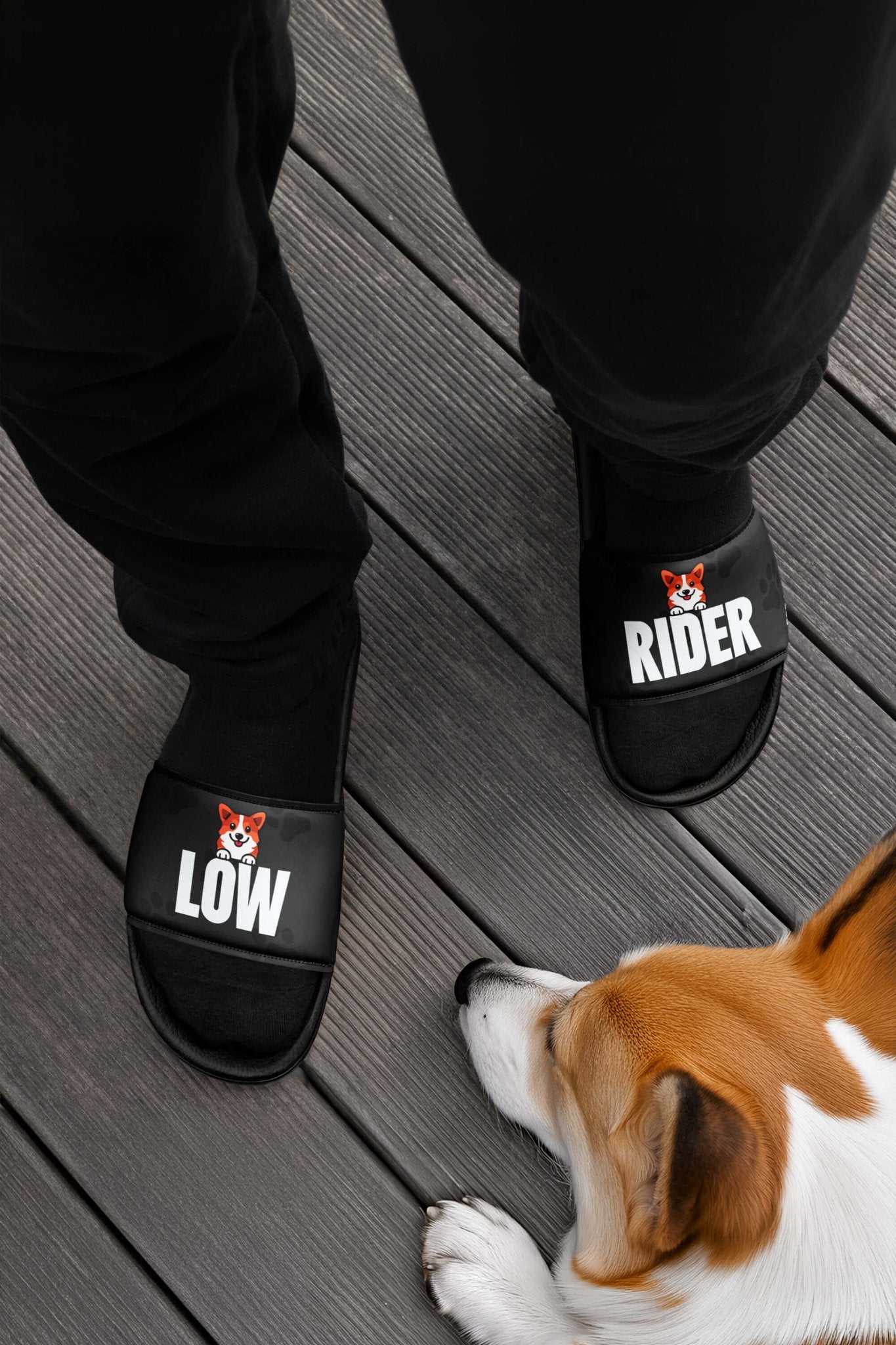 A person wearing comfortable black Mighty Corgi Rider Slides from Dogloverclothing.com stands on a wooden floor beside a brown and white dog lying down.