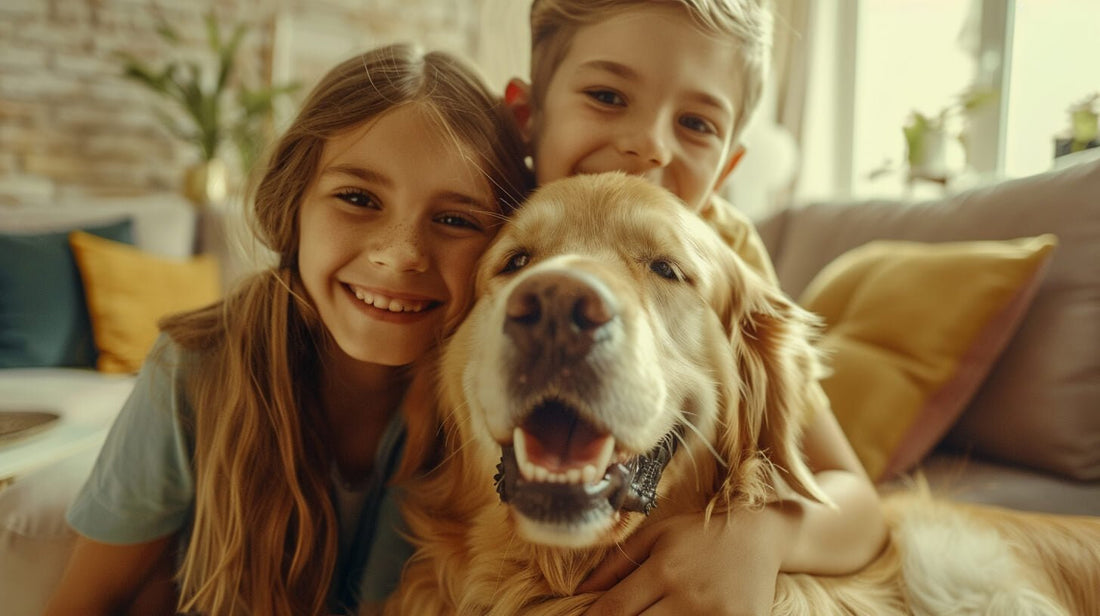 How to Choose the Right Dog Breed - WOOF