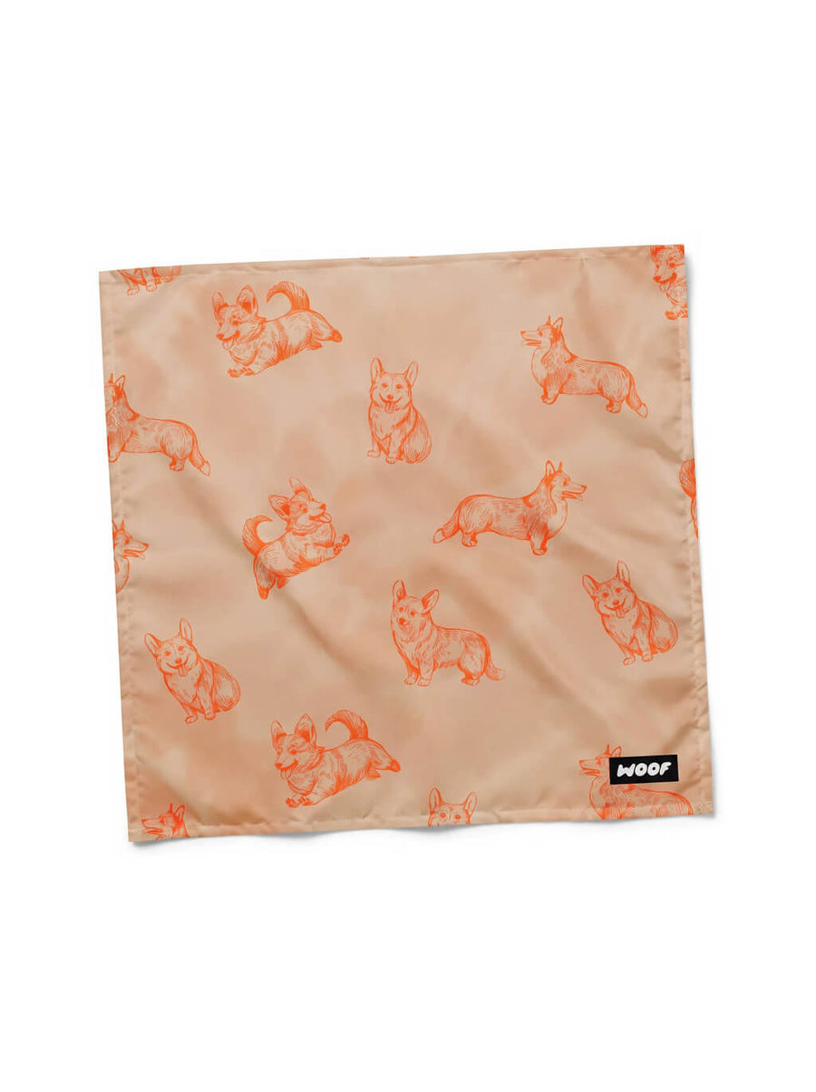 Beige Corgi Couture Dog Bandana from WOOF, front view of the print