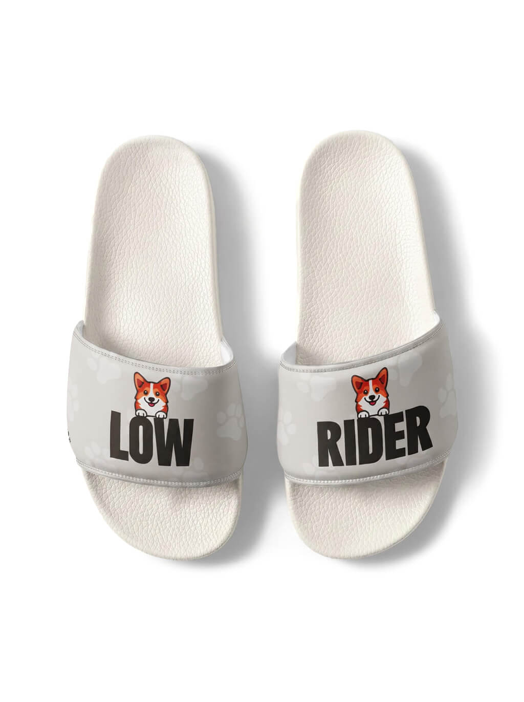 Comfy Corgi Rider Slides