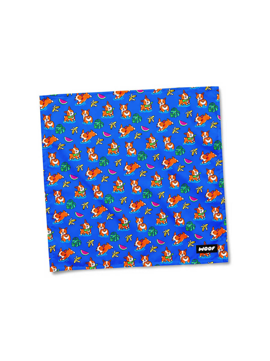 Blue Tropical Corgi Paradise Dog Bandana from WOOF, front view of the print