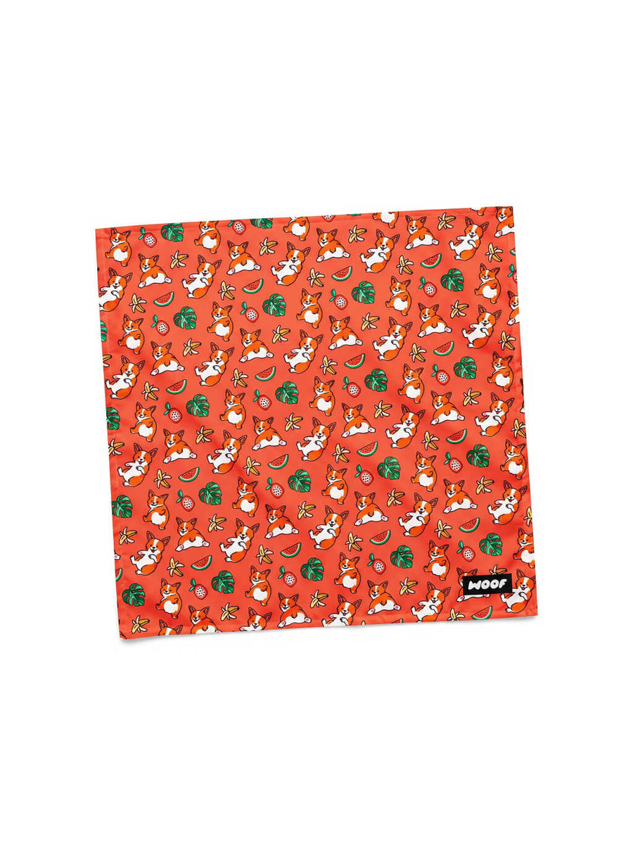 Orange Tropical Corgi Paradise Dog Bandana from WOOF, front view of the print