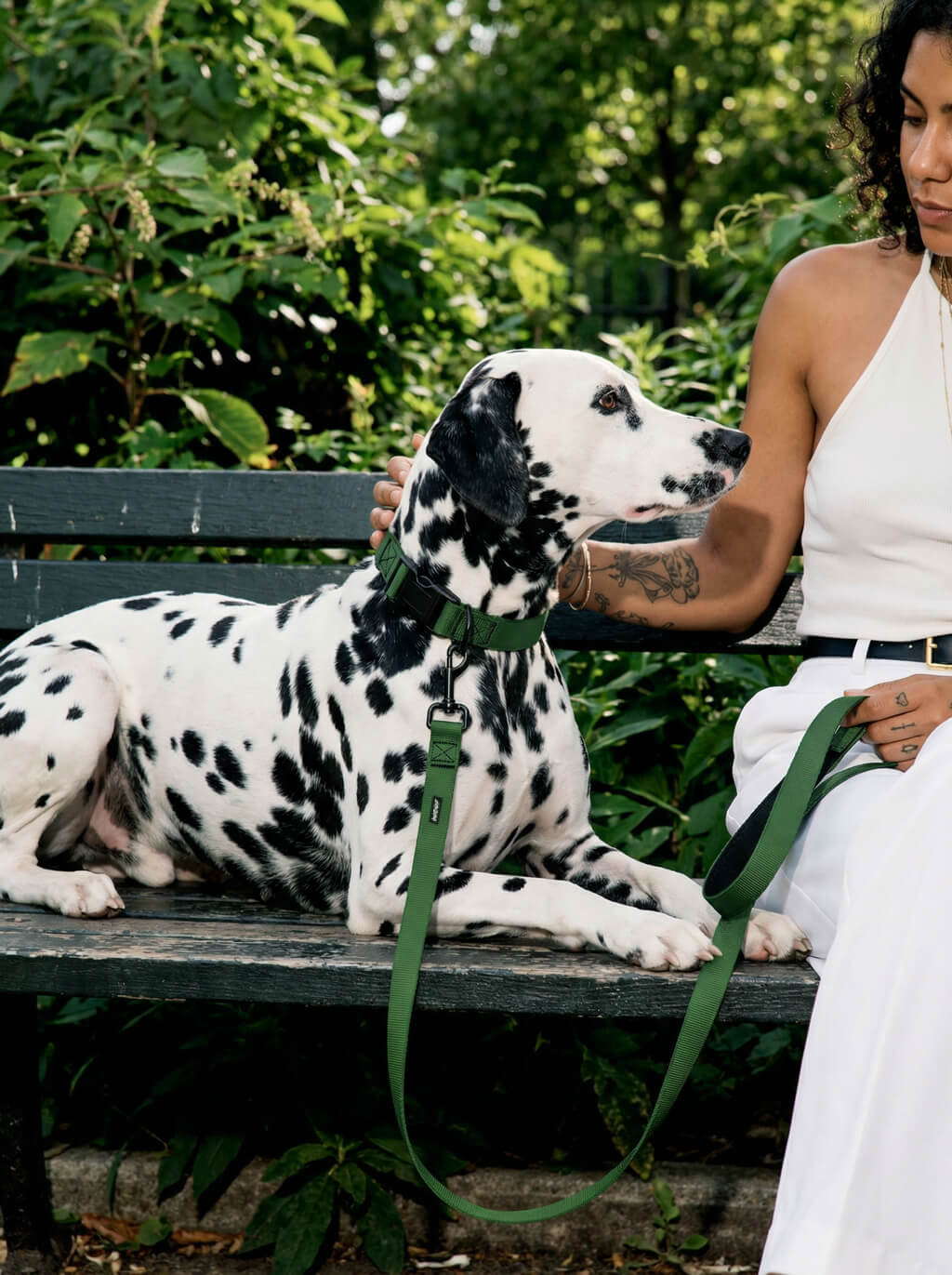 Deep Green Dog Collar & Leash Set