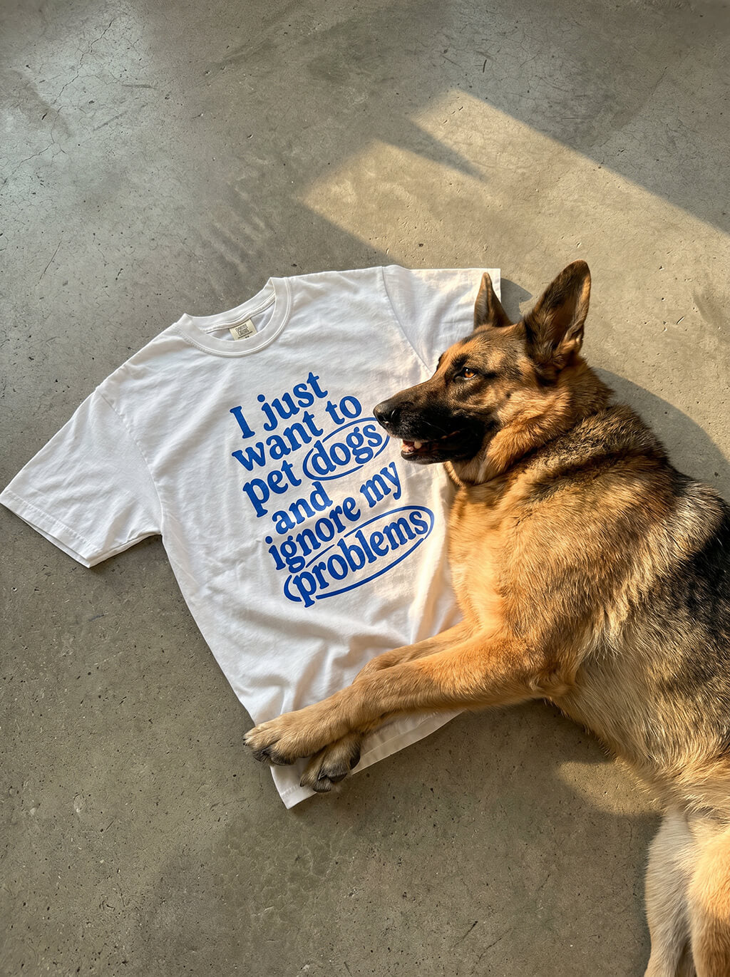 I Just Want To Pet Dogs Heavyweight T-Shirt