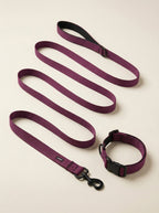 Burgundy Dog Collar & Leash Set