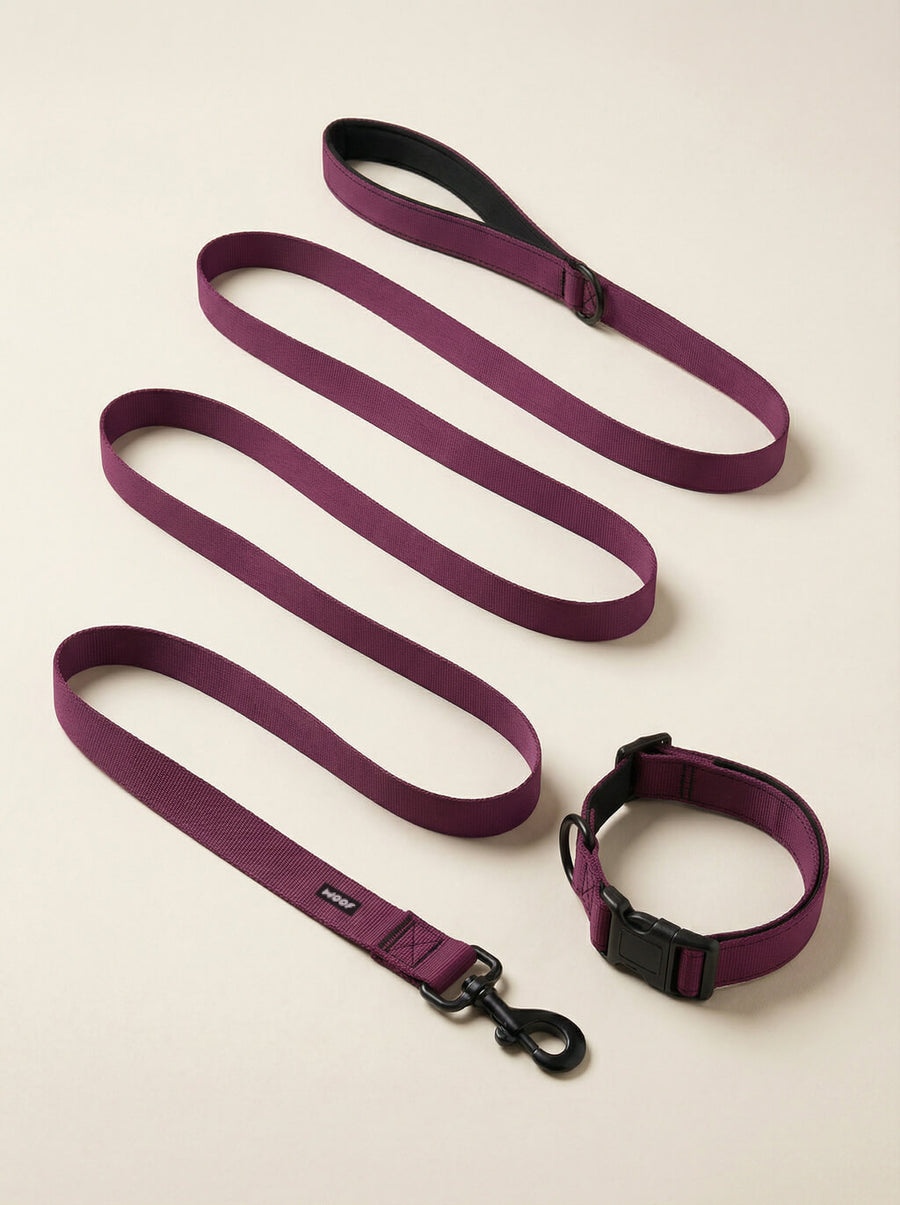Burgundy dog collar and leash set from WOOF, front view