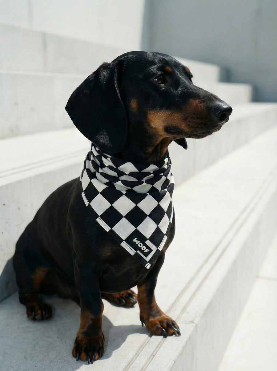 Timeless checkered dog bandana from WOOF, front view of the print