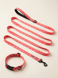 Chili Pattern Dog Collar & Leash Set