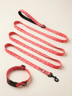 Chili Pattern Dog Collar & Leash Set