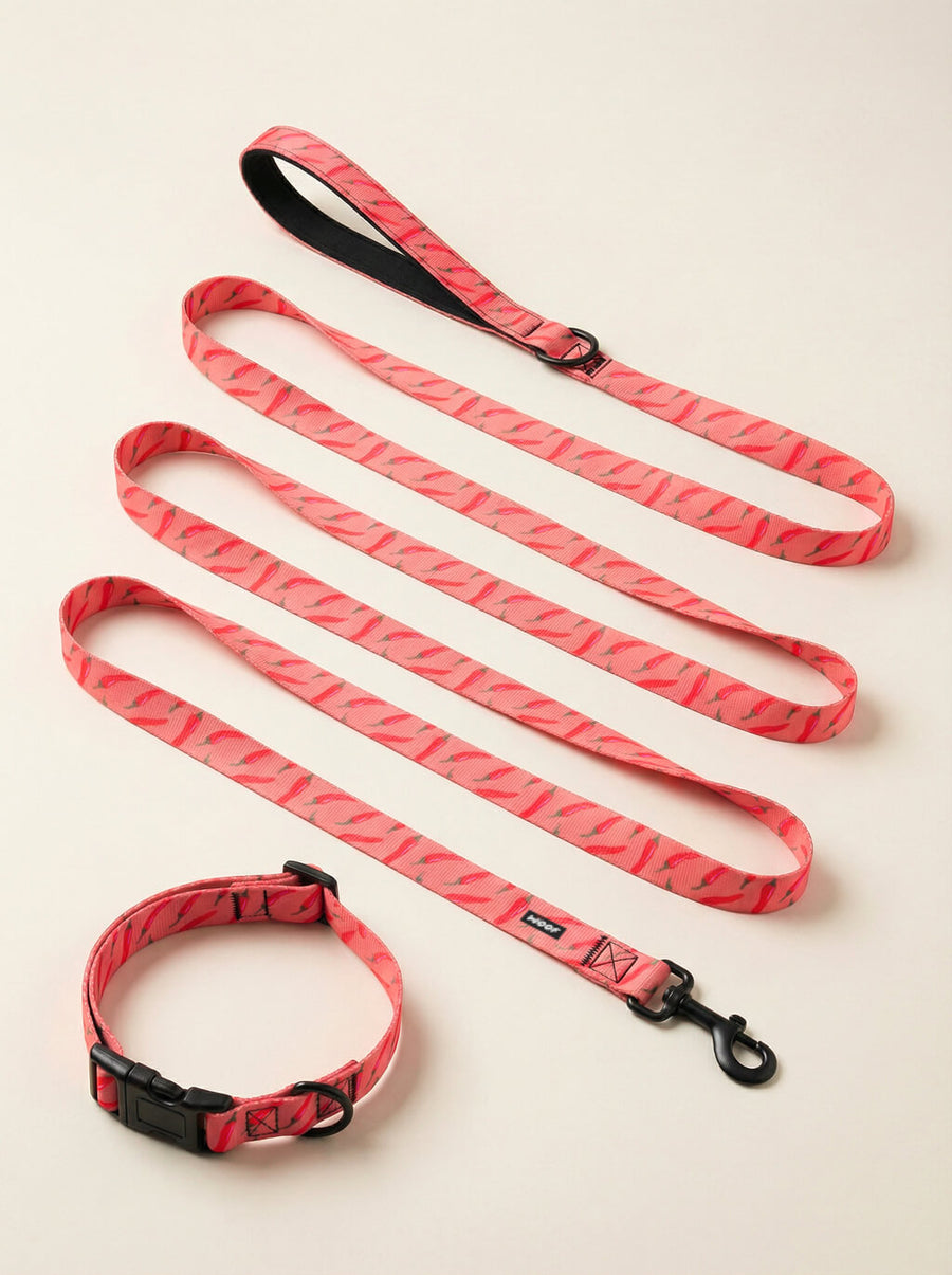 Chili print dog collar and leash set from WOOF, front view
