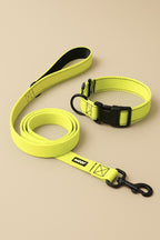 Citrus Yellow Dog Collar & Leash Set - WOOF