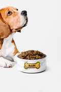 Customizable Marble & Gold Dog Pet Bowl.