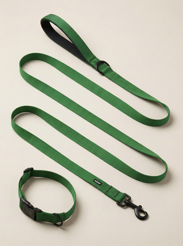 Deep Green Lightweight Dog Collar & Leash Set