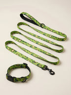 Kiwi Print Dog Collar & Leash Set
