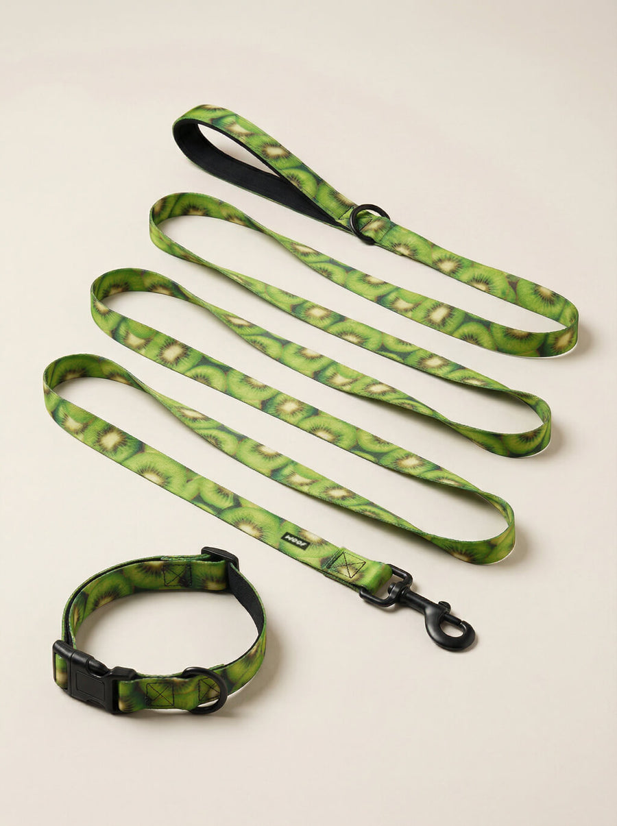 Kiwi print dog collar and leash set from WOOF, front view