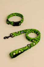Kiwi Heaven Dog Collar & Leash Set - WOOF