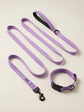 Lavender Dog Collar & Leash Set