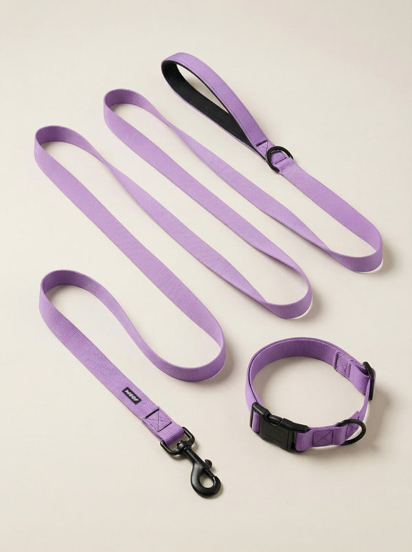 Lavender Lightweight Dog Collar & Leash Set