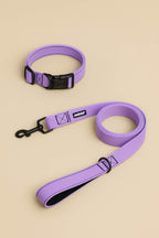 Lavender Dog Collar & Leash Set - WOOF