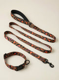 Elegant Leopard Dog Collar & Leash Set