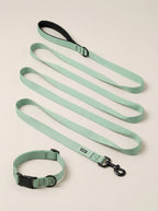Mint Green Dog Collar & Leash Set