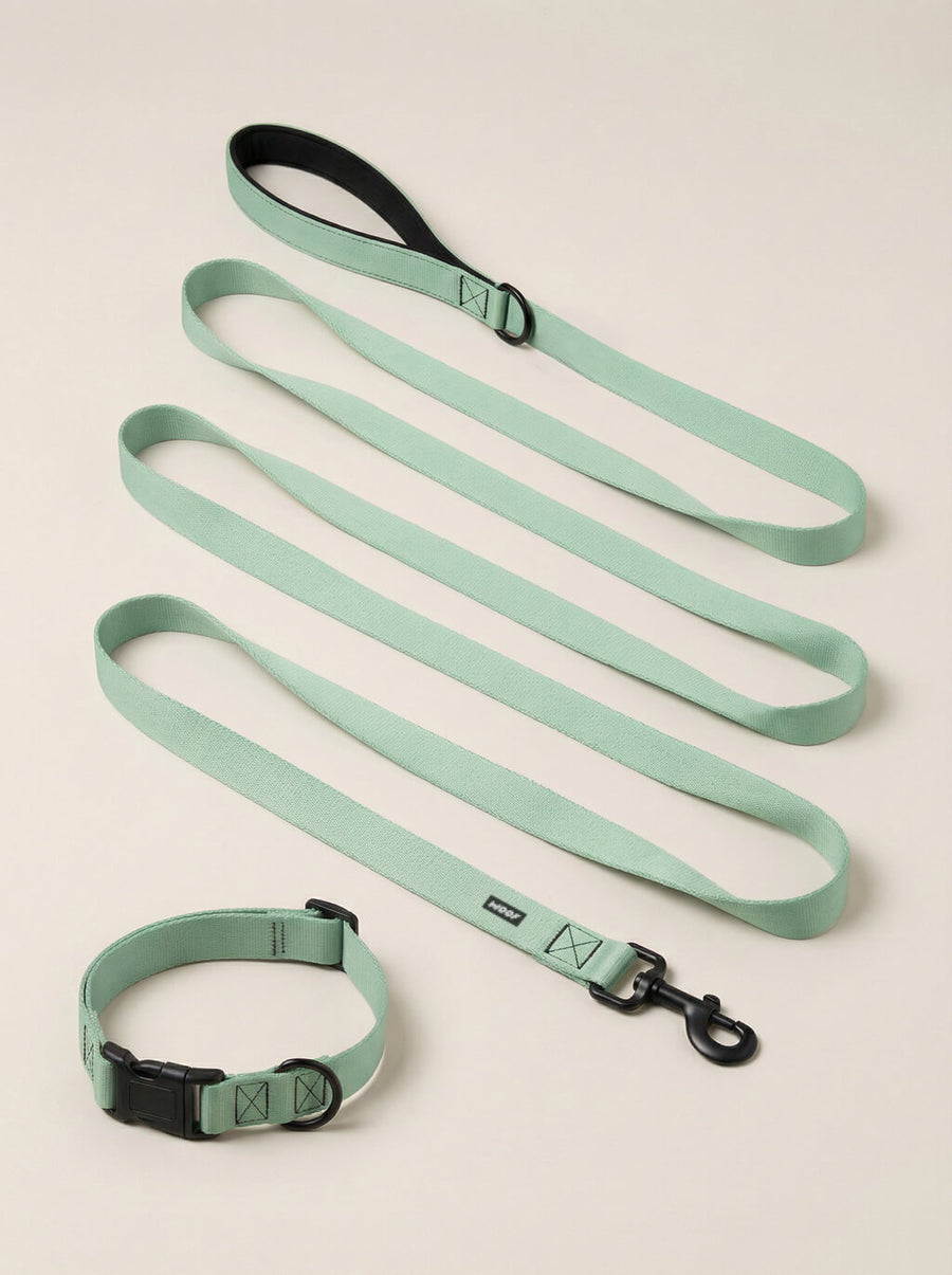Mint green dog collar and leash set from WOOF, front view