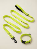 Neon Green Dog Collar & Leash Set