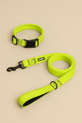 Neon Green Dog Collar & Leash - WOOF