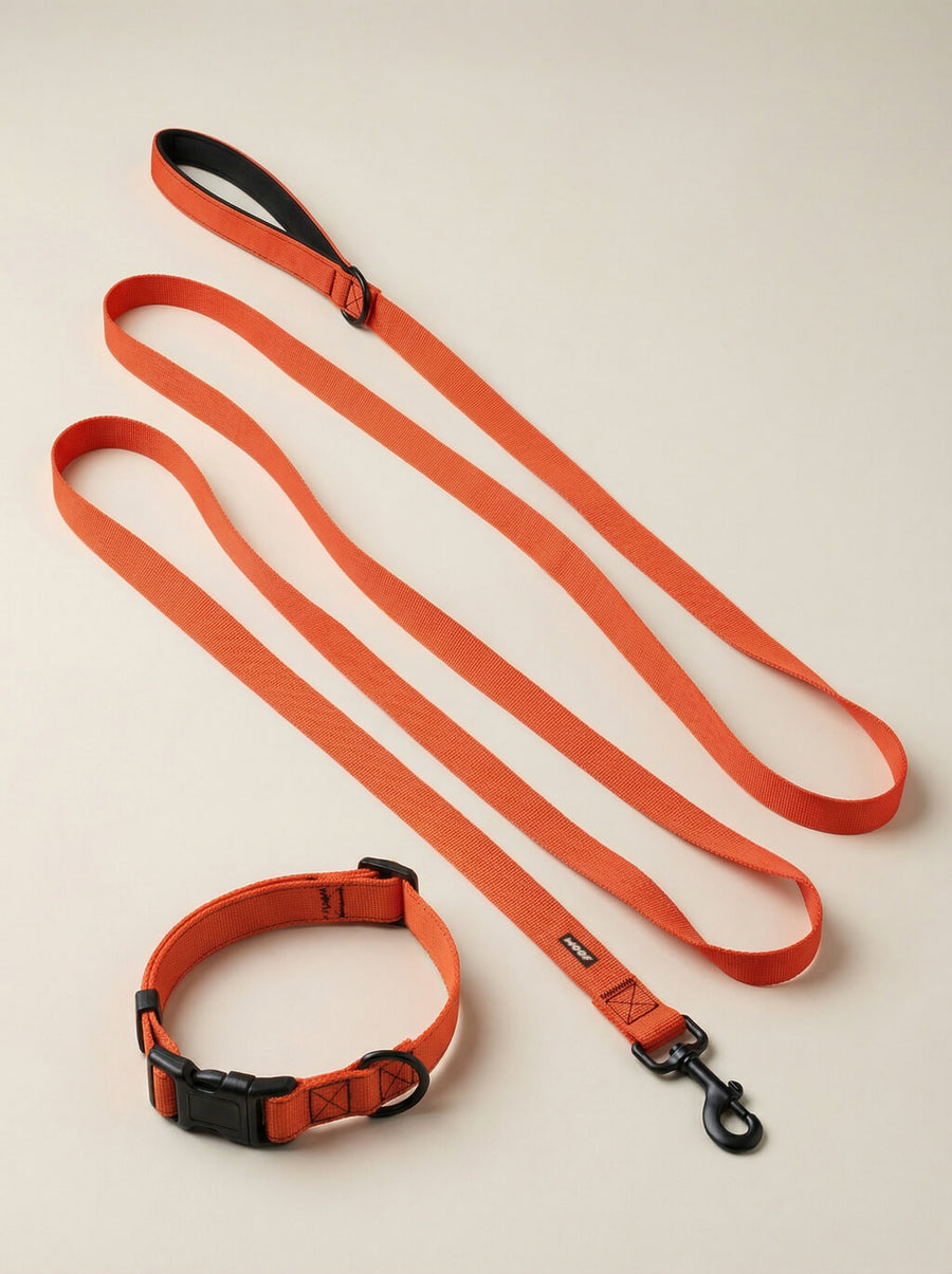 Neon orange dog collar and leash set from WOOF, front view