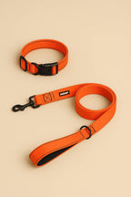 Neon Orange Dog Collar & Leash Set - WOOF