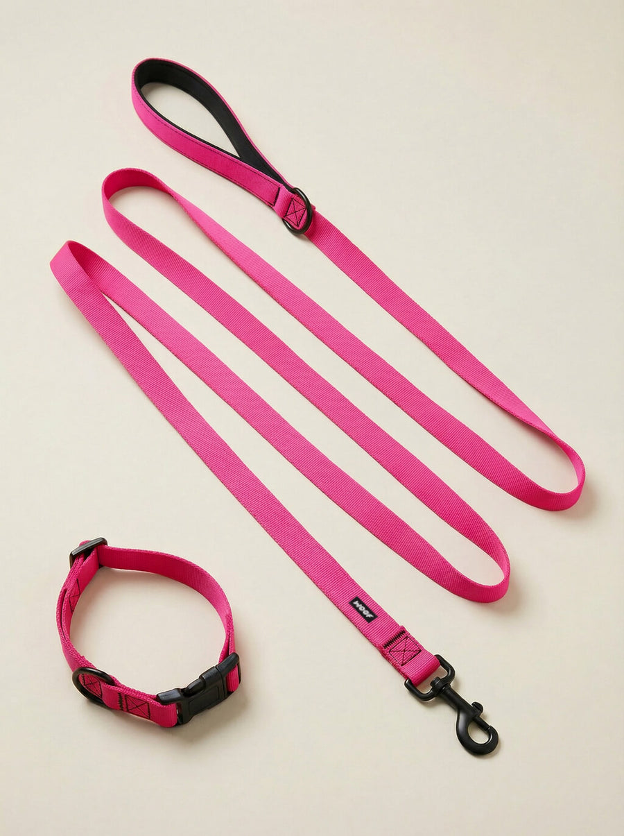 Neon pink dog collar and leash set from WOOF, front view