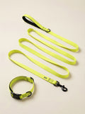 Neon Yellow Dog Collar & Leash Set