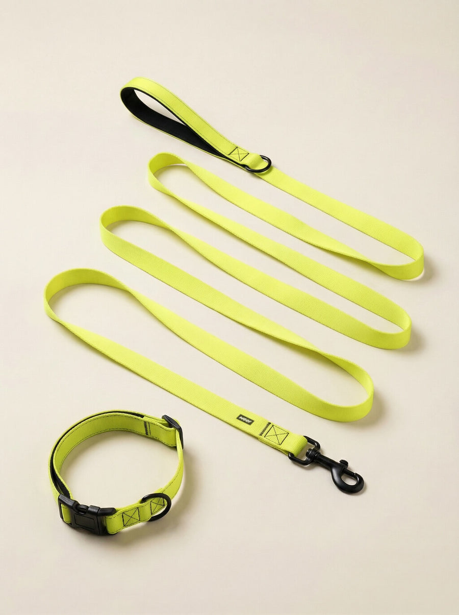 Neon yellow dog collar and leash set from WOOF, front view