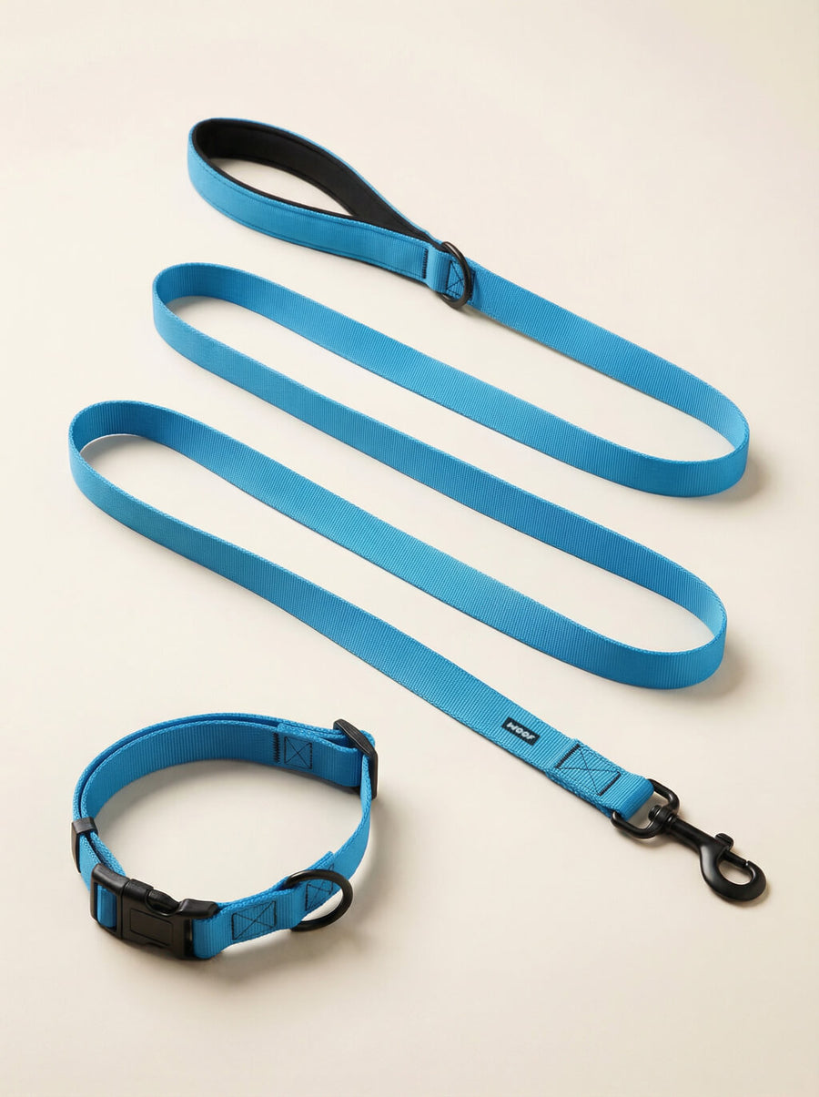 Sky blue dog collar and leash set from WOOF, front view
