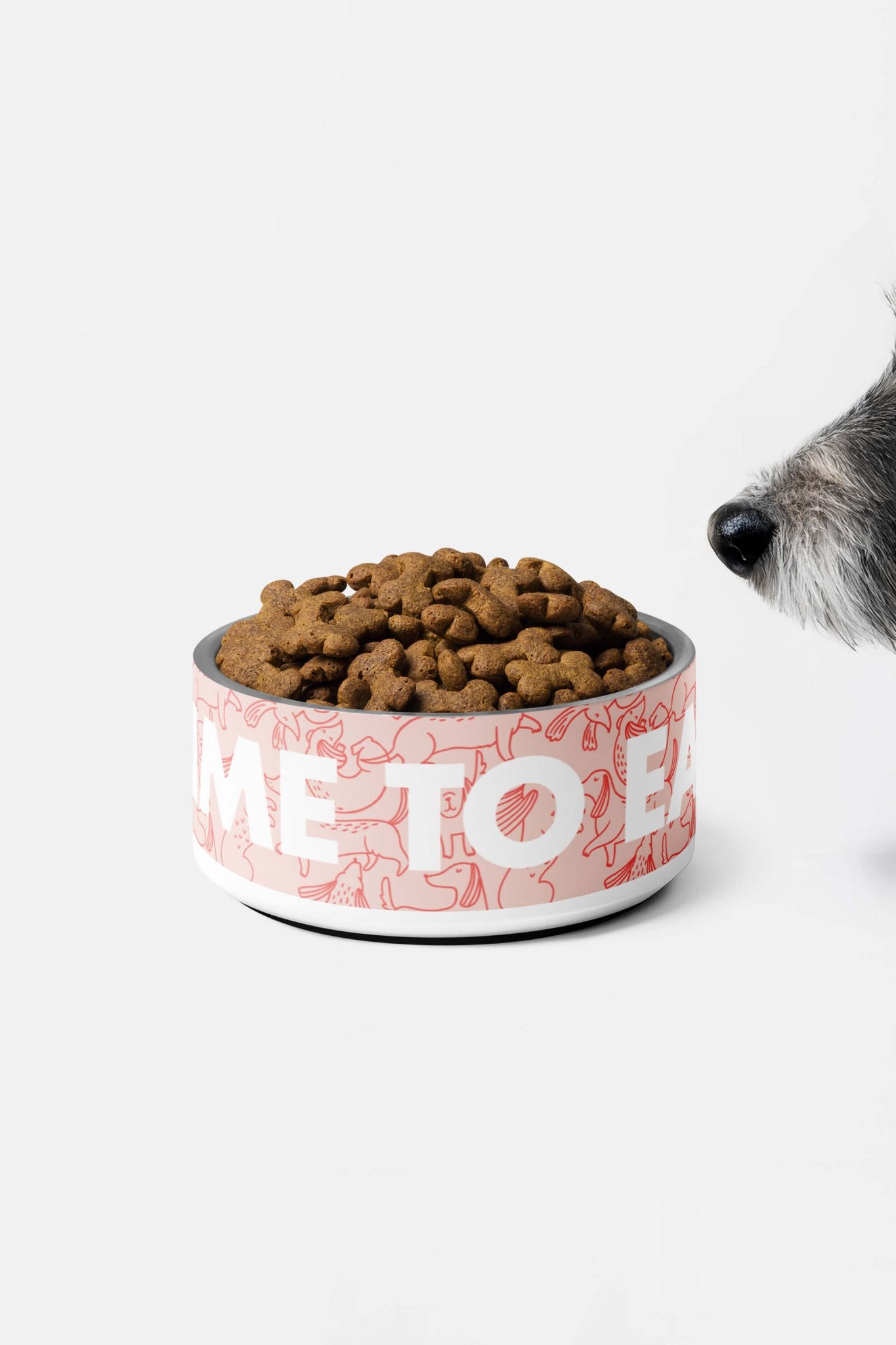 Special Time To Eat Dog Pet Bowl.