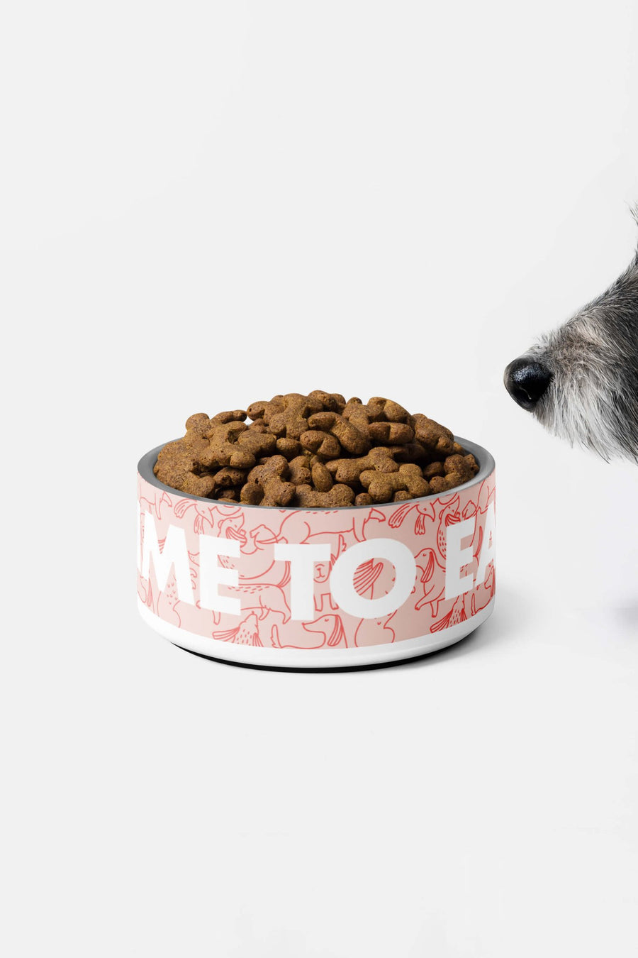 Time To Eat dog bowl from WOOF in ceramic with the printed slogan