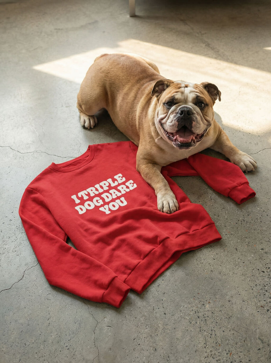 I Triple Dog Dare You Sweatshirt from WOOF, front view with the printed slogan