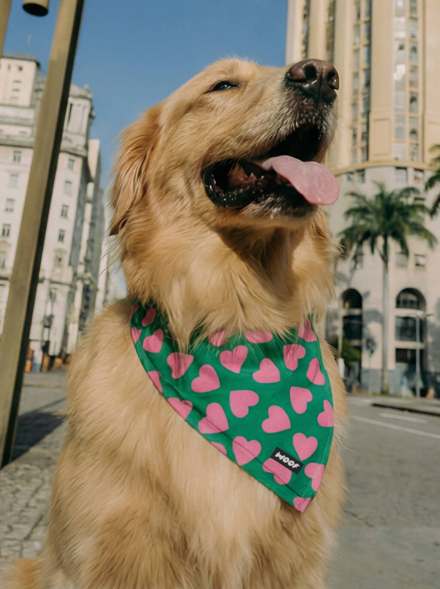 Valentines Day dog bandana from WOOF, front view of the print