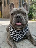 WOOF Logo Dog Bandana