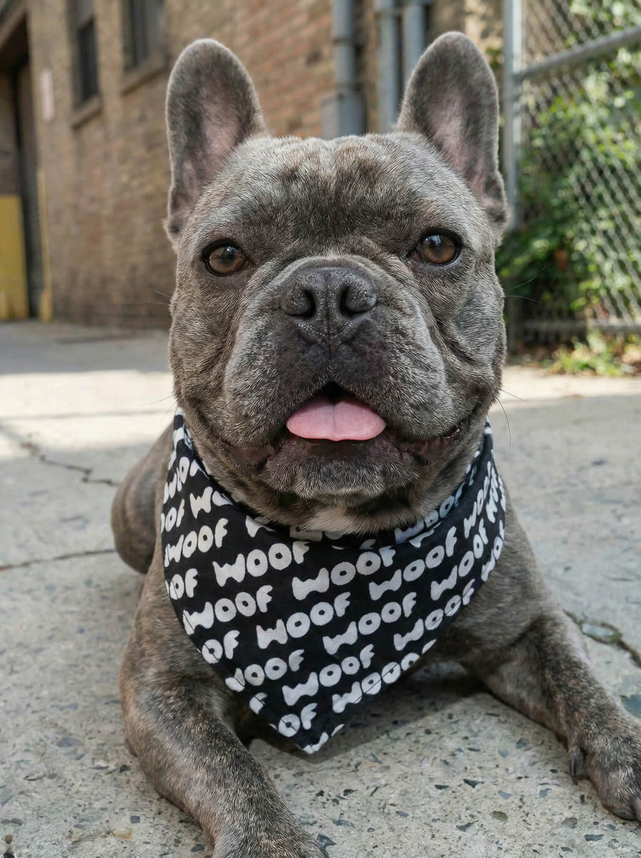 WOOF logo dog bandana, front view of the printed logo