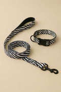 Zebra Dog Collar & Leash Set