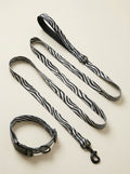 Zebra Pattern Dog Collar & Leash Set